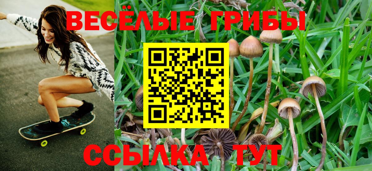 Галлюциногенные грибы мицелий Братск